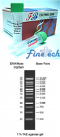 1Kb DNA Ladder